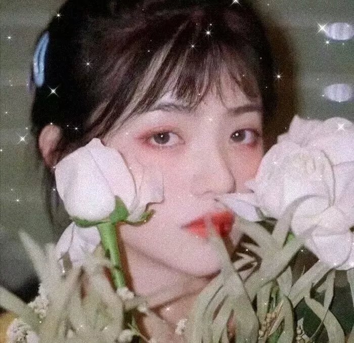 贪尸